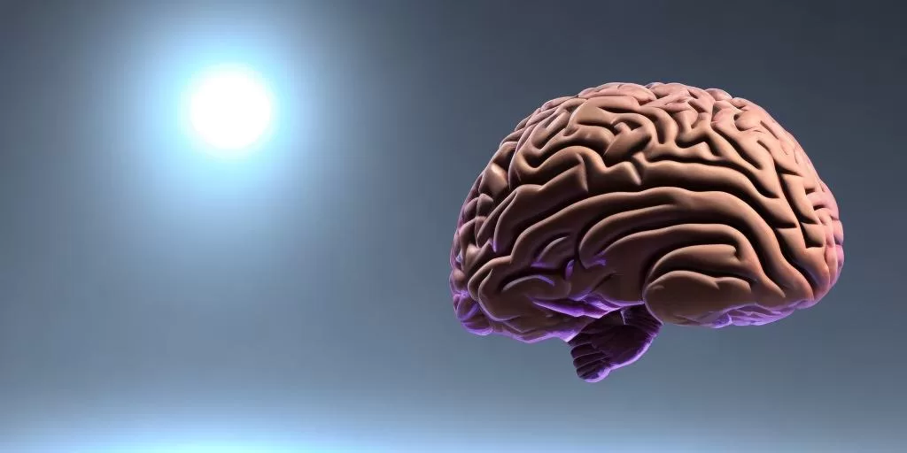 Meditation's Effects on the Brain: A Brain Floating in teh Air