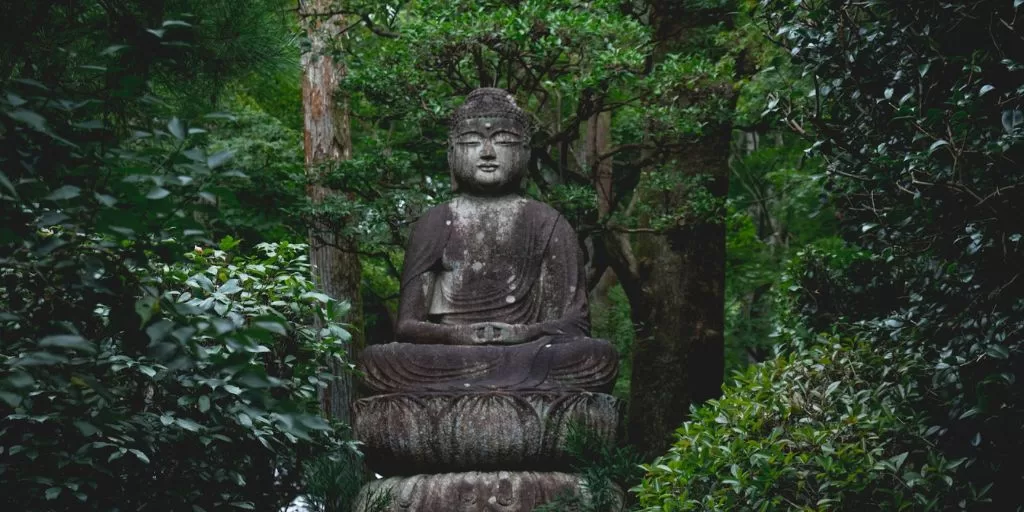 A buddha statue in the forest