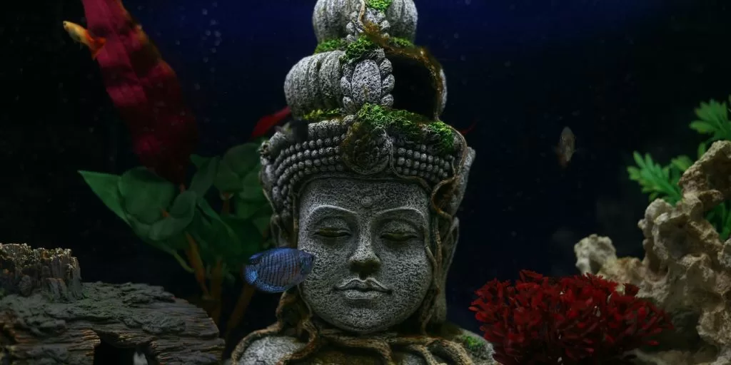 Calmness: An underwater statue of an Indian deity