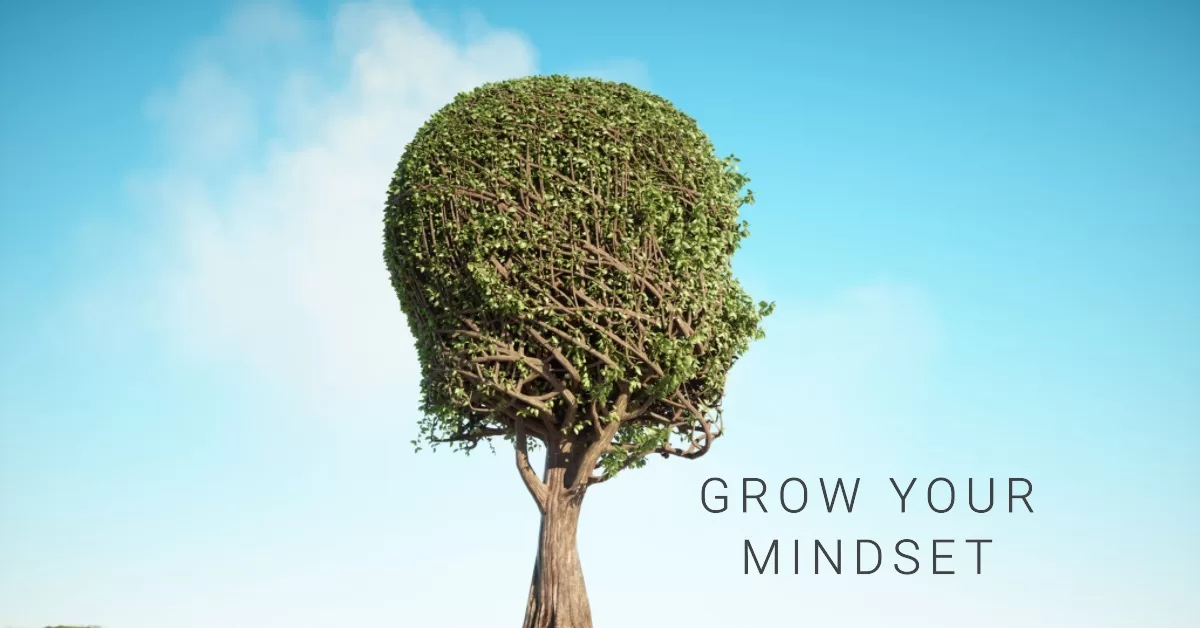 Maintaining a growth mindset