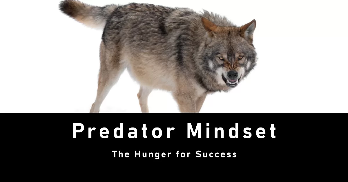 Predator mindset - metal toughness and resilience