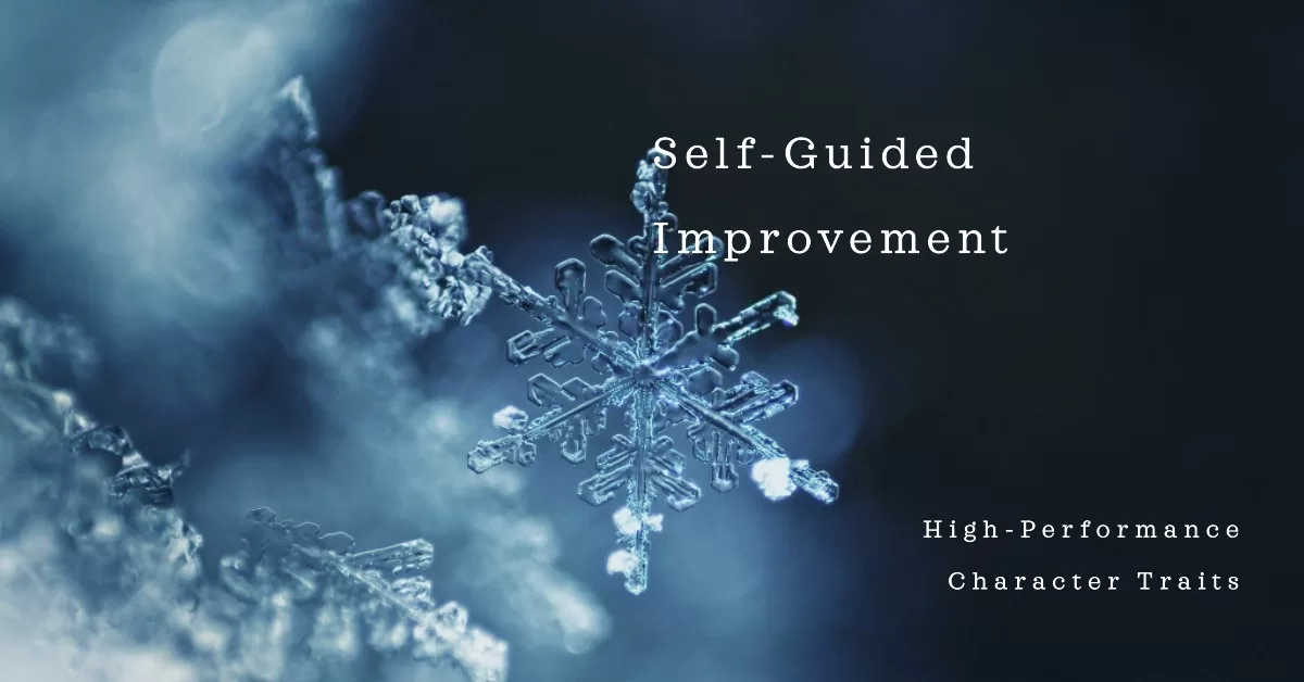 Self guided improvement and high performance character traits