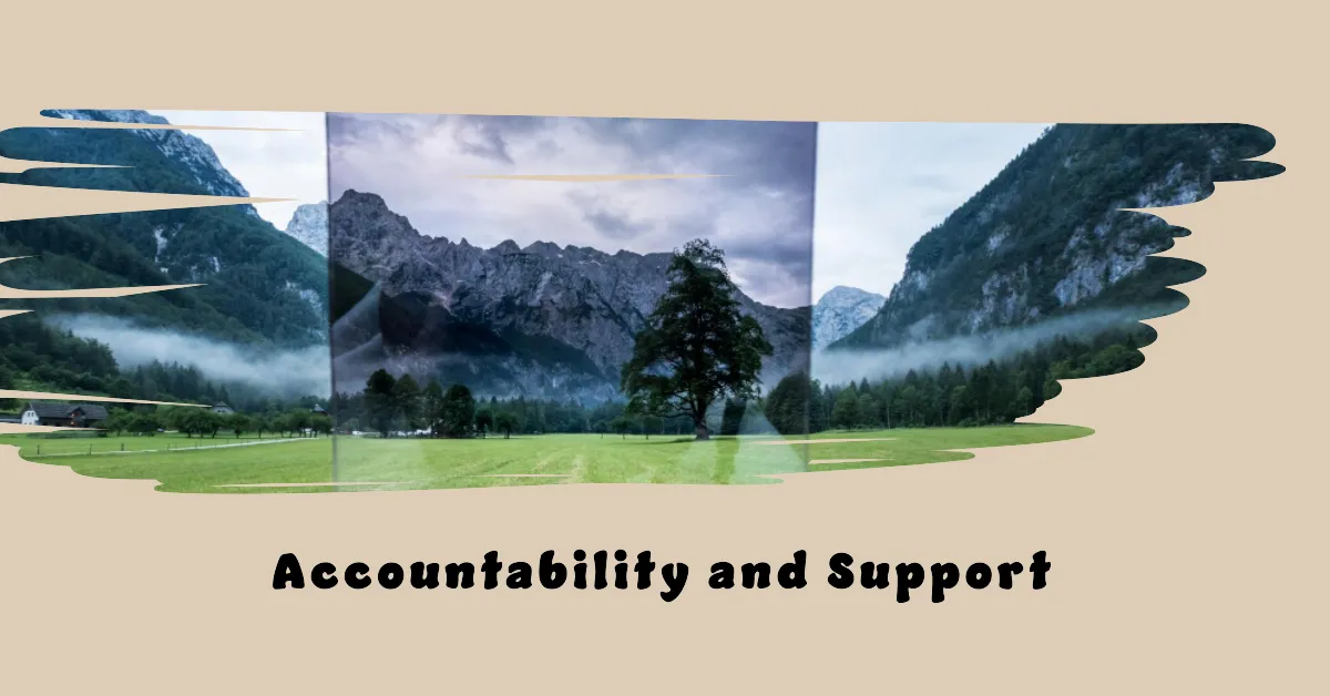 Accountability and support