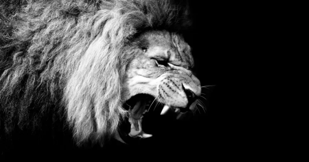 Lion: A resilient beast full of mental strength
