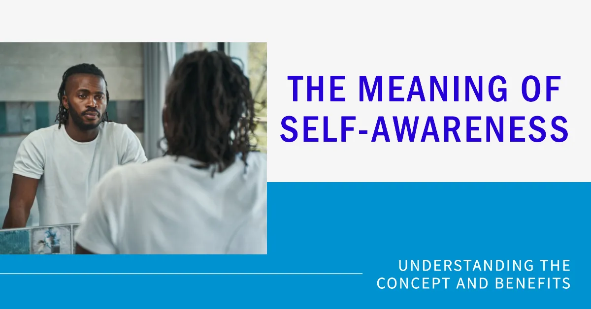 What Does It Mean to Be Self-Aware?