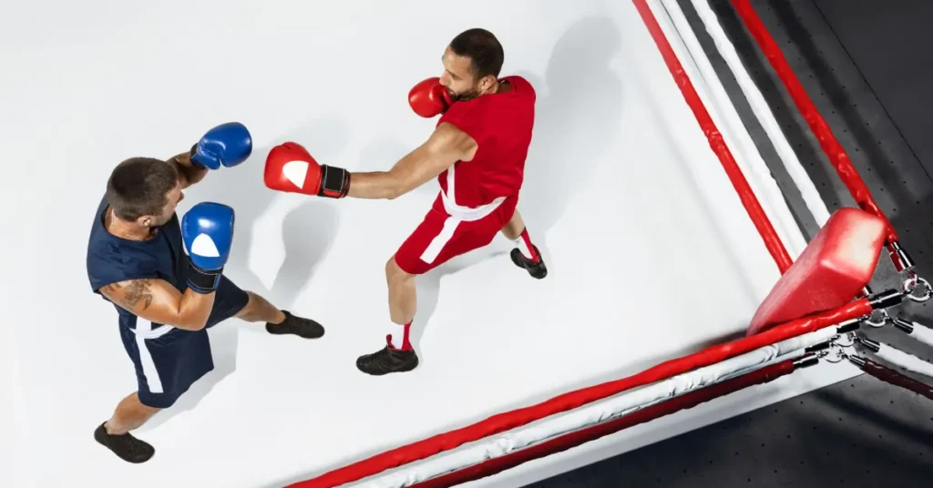 2 Boxers in the Ring