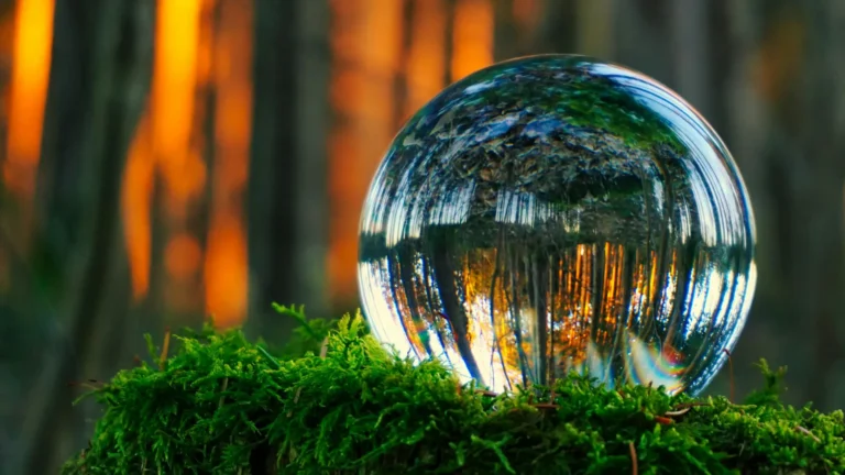 Calm scenery: A glass ball in a forest, reflecting the trees