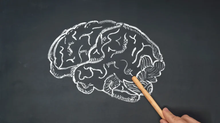 Human brain sketched on a chalkboard