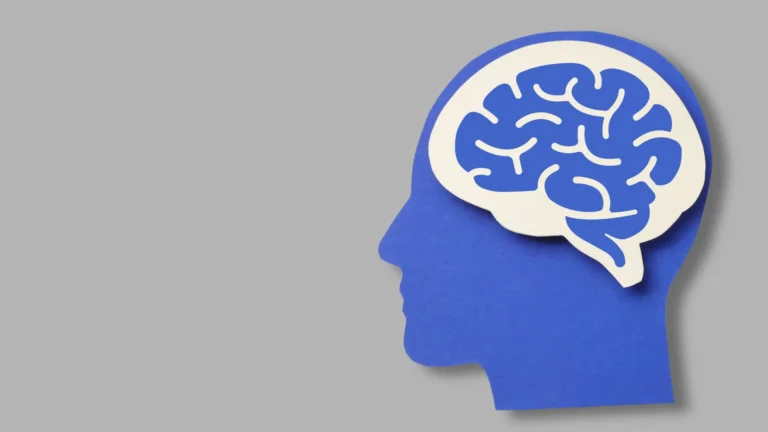 Simple outline of a human head with a visible brain